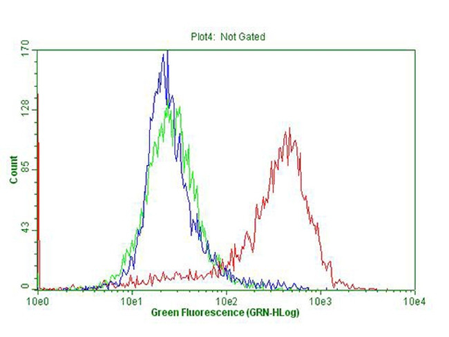 CDKN2A Antibody in Flow Cytometry (Flow)