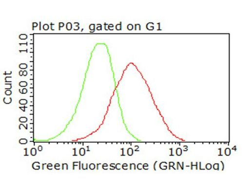 B7-2 (CD86) Antibody in Flow Cytometry (Flow)