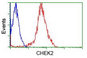 CHEK2 Antibody in Flow Cytometry (Flow)