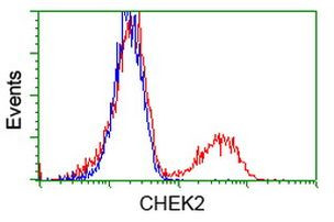 CHEK2 Antibody in Flow Cytometry (Flow)