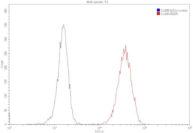 beta Actin Antibody in Flow Cytometry (Flow)