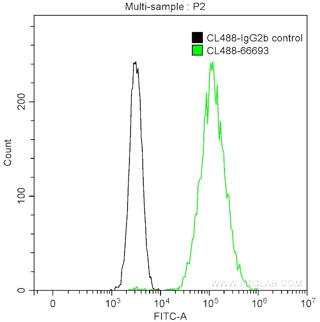 CALD1 Antibody in Flow Cytometry (Flow)