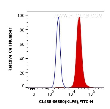 KLF5 Antibody in Flow Cytometry (Flow)