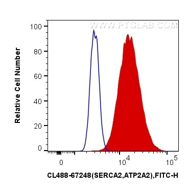 SERCA2/ATP2A2 Antibody in Flow Cytometry (Flow)