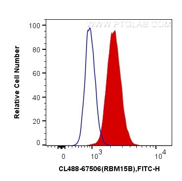 RBM15B Antibody in Flow Cytometry (Flow)