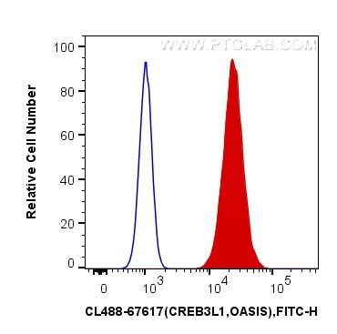 CREB3L1/OASIS Monoclonal Antibody (2B5B4)