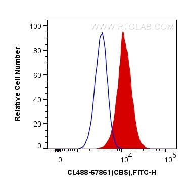 CBS Antibody in Flow Cytometry (Flow)