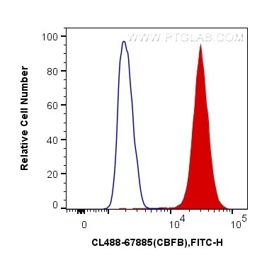 CBFB Antibody in Flow Cytometry (Flow)