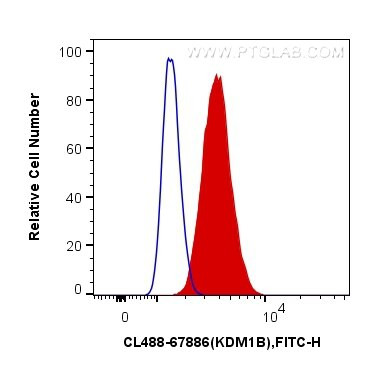 KDM1B Antibody in Flow Cytometry (Flow)