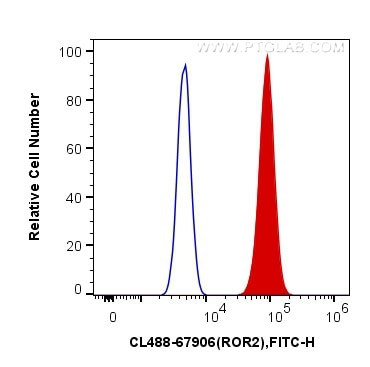 ROR2 Antibody in Flow Cytometry (Flow)