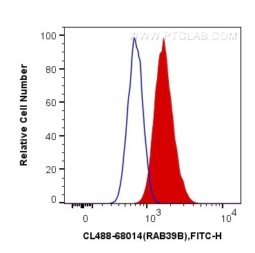RAB39B Antibody in Flow Cytometry (Flow)