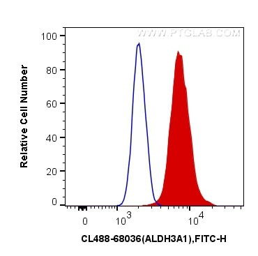 ALDH3A1 Antibody in Flow Cytometry (Flow)