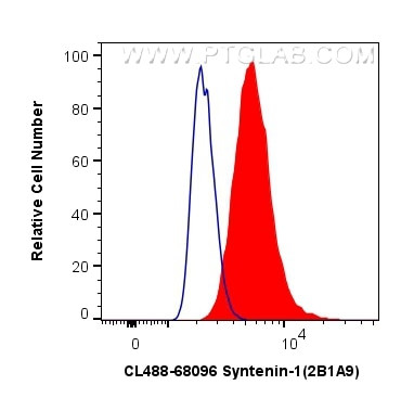 Syntenin-1 Antibody in Flow Cytometry (Flow)