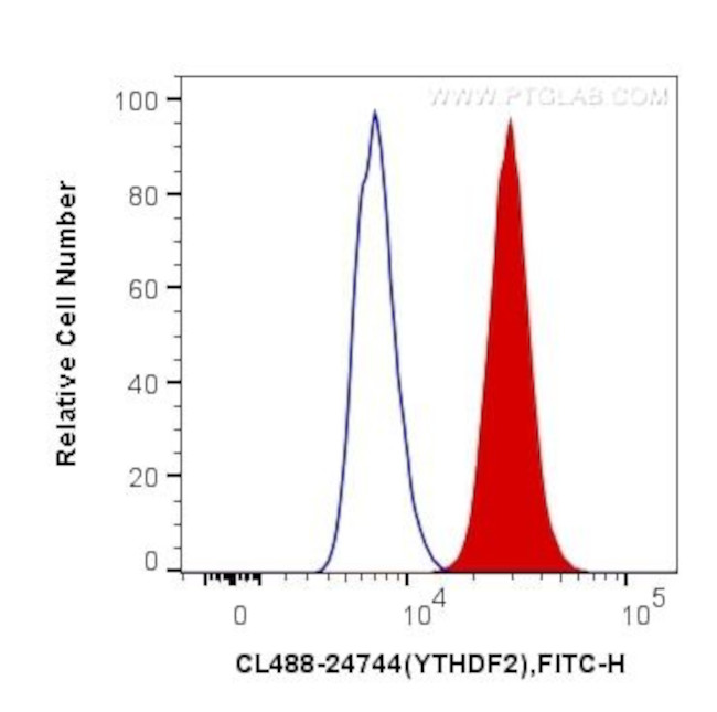 YTHDF2 Antibody in Flow Cytometry (Flow)
