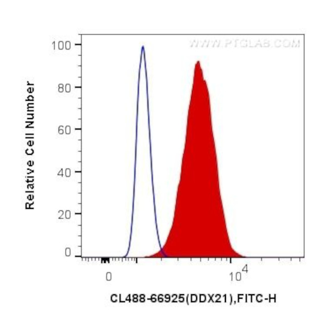 DDX21 Antibody in Flow Cytometry (Flow)