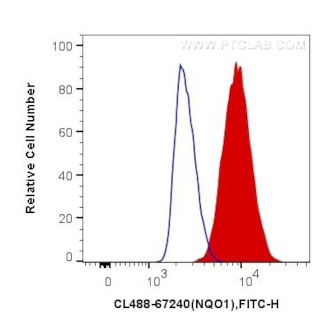 NQO1 Antibody in Flow Cytometry (Flow)