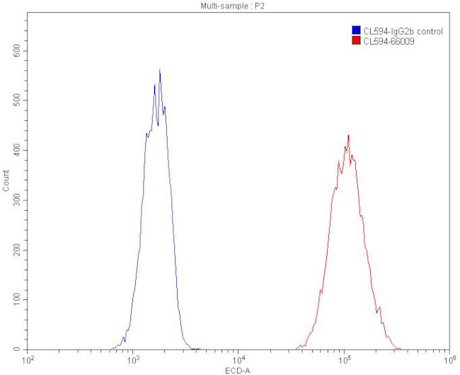 beta Actin Antibody in Flow Cytometry (Flow)