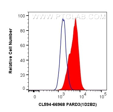PARD3 Antibody in Flow Cytometry (Flow)