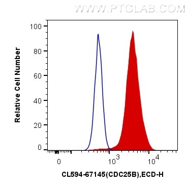 CDC25B Antibody in Flow Cytometry (Flow)