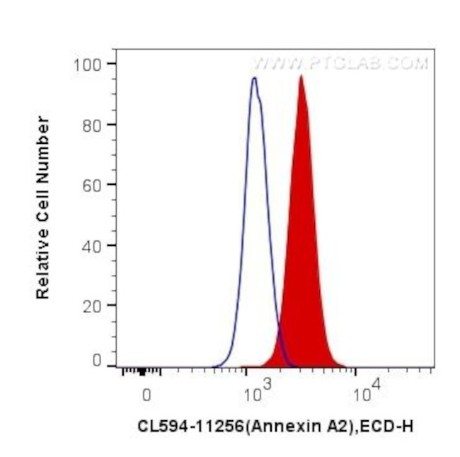 Annexin A2 Antibody in Flow Cytometry (Flow)