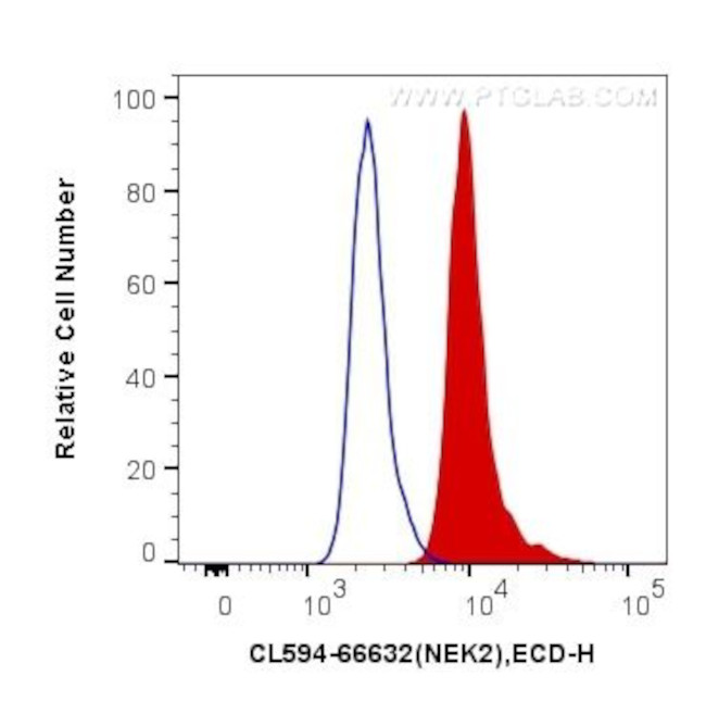 NEK2 Antibody in Flow Cytometry (Flow)