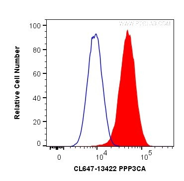 PPP3CA Antibody in Flow Cytometry (Flow)
