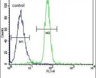 CLIP3 Antibody in Flow Cytometry (Flow)