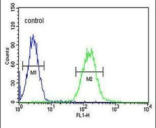 CNGA2 Antibody in Flow Cytometry (Flow)