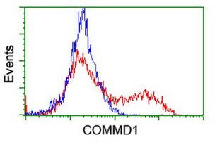 COMMD1 Antibody in Flow Cytometry (Flow)