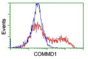 COMMD1 Antibody in Flow Cytometry (Flow)