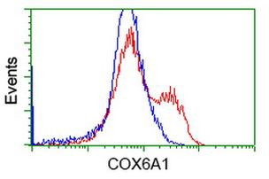 COX6A1 Antibody in Flow Cytometry (Flow)