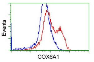 COX6A1 Antibody in Flow Cytometry (Flow)