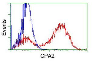 CPA2 Antibody in Flow Cytometry (Flow)
