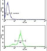 CPN2 Antibody in Flow Cytometry (Flow)