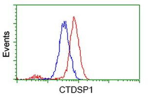 CTDSP1 Antibody in Flow Cytometry (Flow)