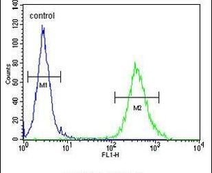 CYB561D1 Antibody in Flow Cytometry (Flow)