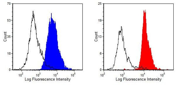 Crry Antibody in Flow Cytometry (Flow)