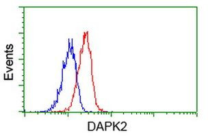 DAPK2 Antibody in Flow Cytometry (Flow)