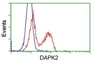 DAPK2 Antibody in Flow Cytometry (Flow)