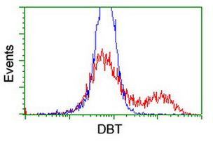 DBT Antibody in Flow Cytometry (Flow)