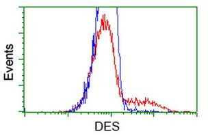 DES Antibody in Flow Cytometry (Flow)