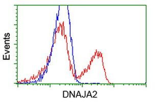 DNAJA2 Antibody in Flow Cytometry (Flow)