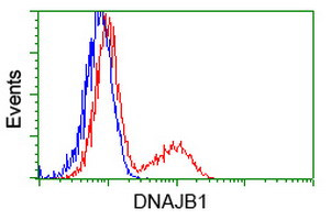 DNAJB1 Antibody in Flow Cytometry (Flow)