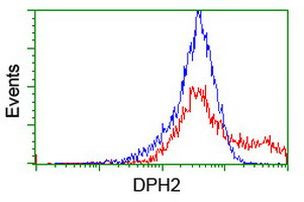 DPH2 Antibody in Flow Cytometry (Flow)