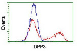 DPP3 Antibody in Flow Cytometry (Flow)