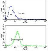 DPP8 Antibody in Flow Cytometry (Flow)