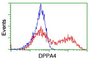 DPPA4 Antibody in Flow Cytometry (Flow)