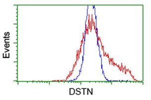 DSTN Antibody in Flow Cytometry (Flow)