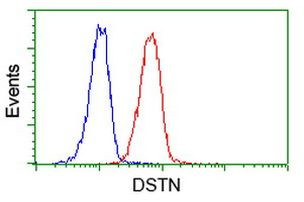 DSTN Antibody in Flow Cytometry (Flow)