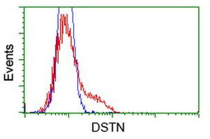 DSTN Antibody in Flow Cytometry (Flow)